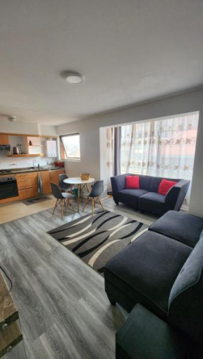 Arriendo departamento cerca a la playa viña del mar